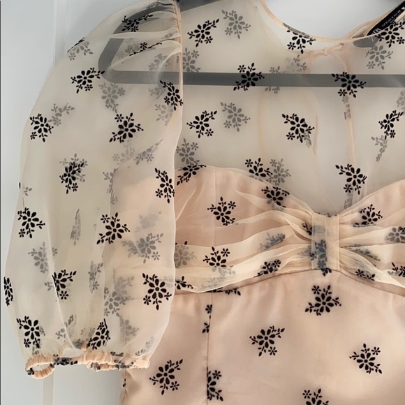 Organza sleeve cropped blouse - Picture 2 of 5